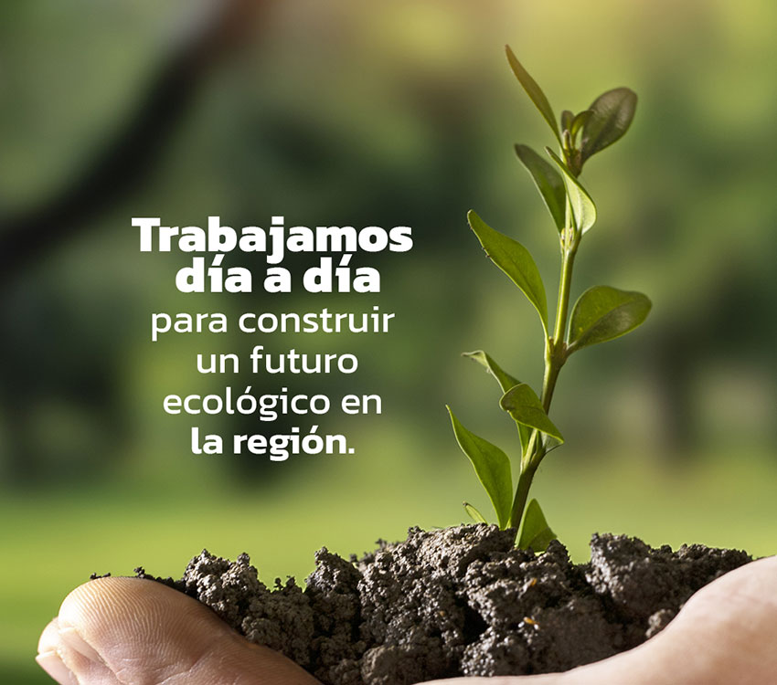 dia ambiental